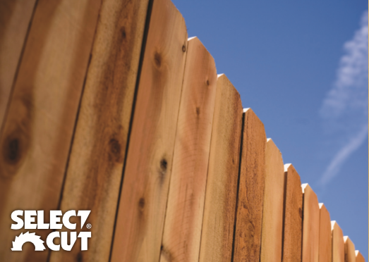 scfence