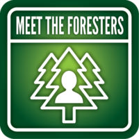 Foresters